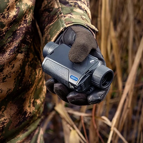 Thermal monocular pulsar axion - monocular,