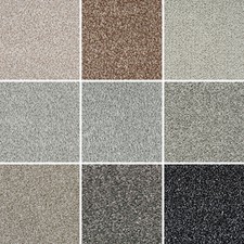 Grey Saxony Carpet 10mm Thick Cheap Grey Carpets ONLY £5.99m²  Bedroom Lounge