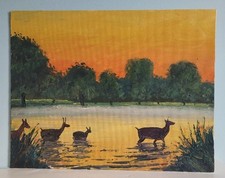 Richmond Park Sunset London