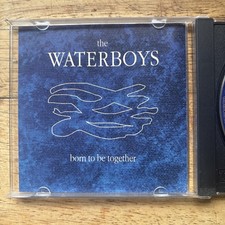 The Waterboys Born to Be