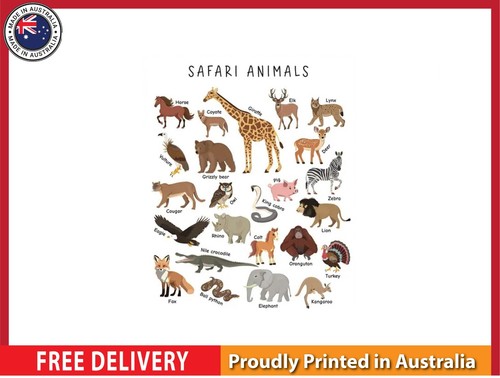 New safari animals - (laminated),