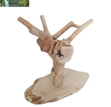 JAVA WOOD TINY TREE BIRD STAND SMALL PARROT PARAKEET COCKATIEL PLAY STAND