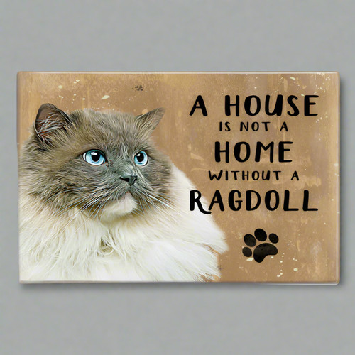Ragdoll cat funny - ragdoll, novelty