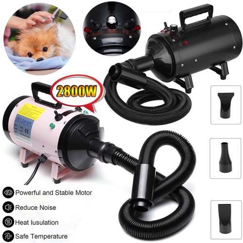Pet hair dryer - pet, animal