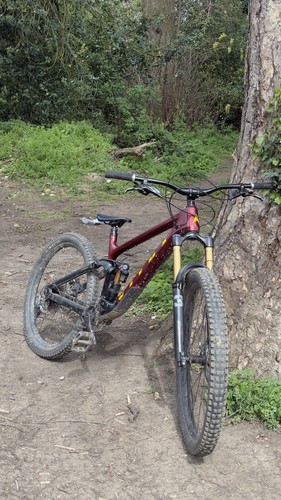 Vitus sommet mountain bike - vitus, 29