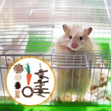  Hamster Toys Rat Toys Chinchilla Toys Hamster Chew Toys Cage Accessories Wood