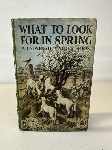 Ladybird book what look - ladybird, for