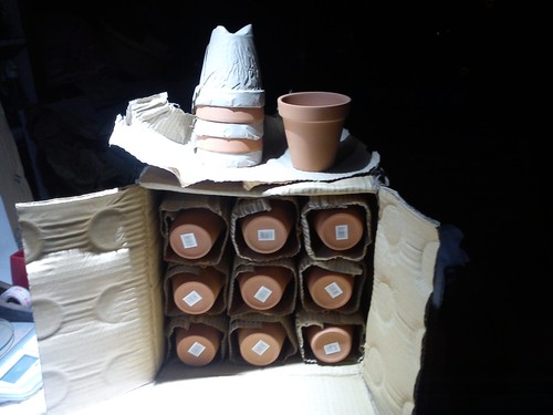 Terracotta clay plant pots - terracotta,