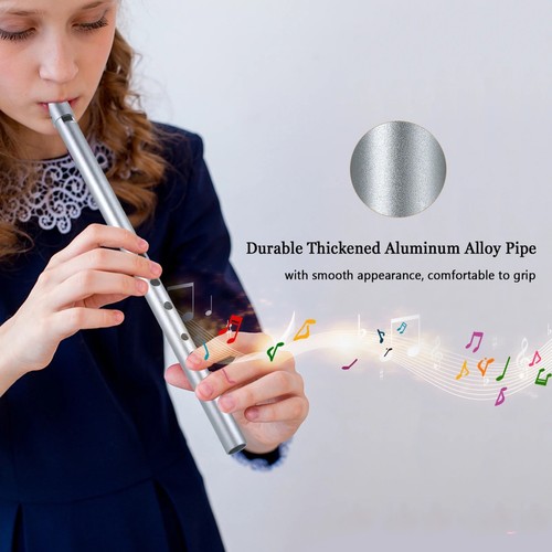 Irish whistle traditional tin - irish,