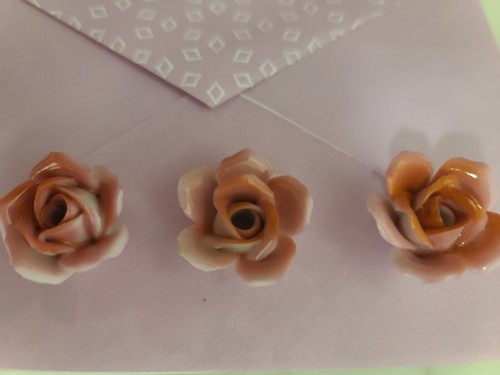New old glossy pink roses - glossy,