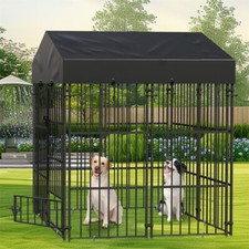 Rustproof Metal Outdoor Dog