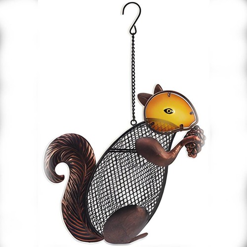 Sunset vista squirrel bird - sunset,
