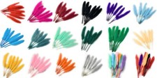 50 x Goose Feathers Pack, 10 -