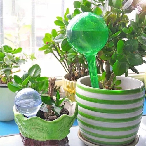 Plant self watering - self,