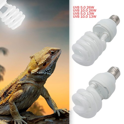Reptile pet plant screw bulb - plant,