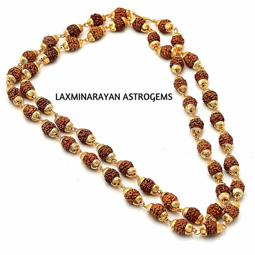 Rudraksha with gold plated - plated, cap