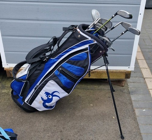 Golf clubs woodworm stand - clubs,