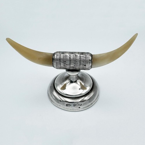 Edwardian novelty bull horns - novelty,