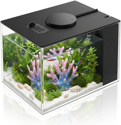 Aquarium fish tank with - aquarium,