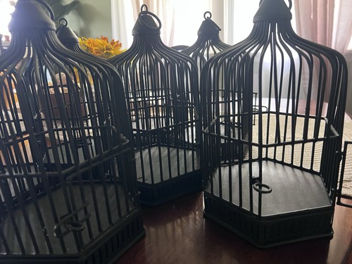 Bird cage centerpiece - bird,
