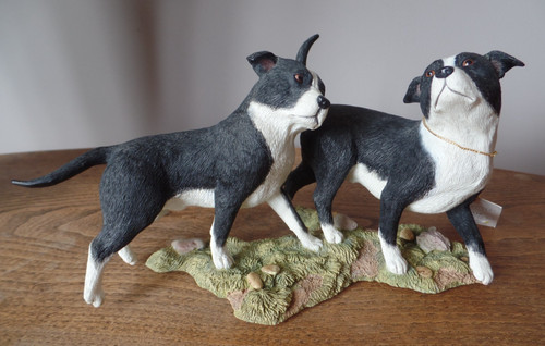 Country artists staffordshire - country,