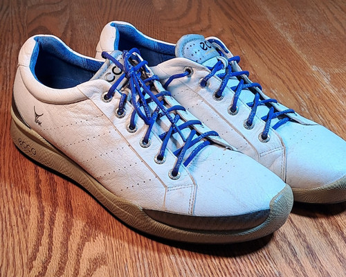 Ecco men biom hybrid - men's,