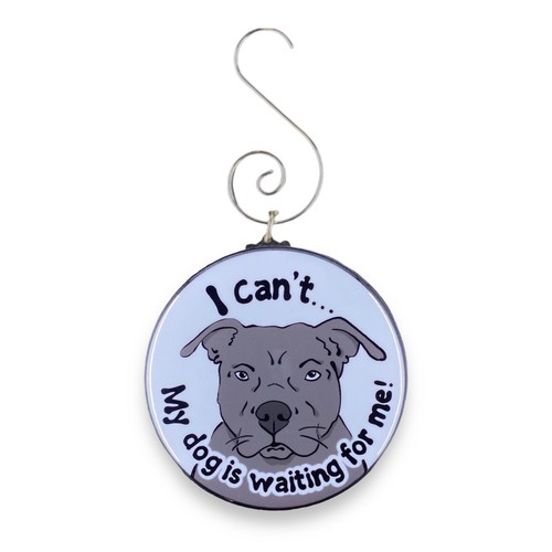 Blue pit bull terrier - pit,