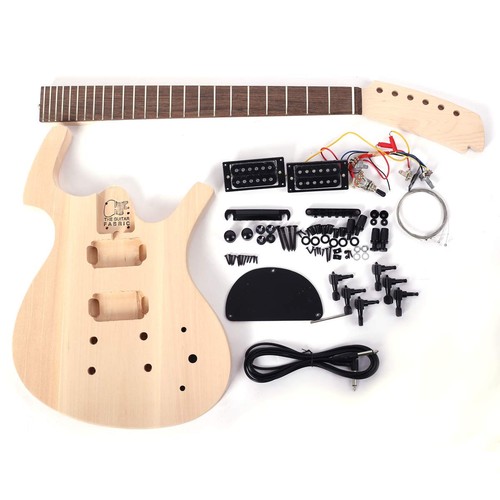 Diy guitar kit parker - guitar, fly