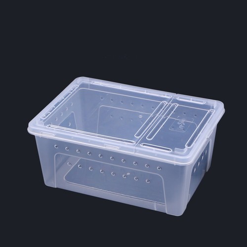 Hibernation box reptile - hibernation,