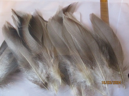 Bronze mallard feathers bag - , of