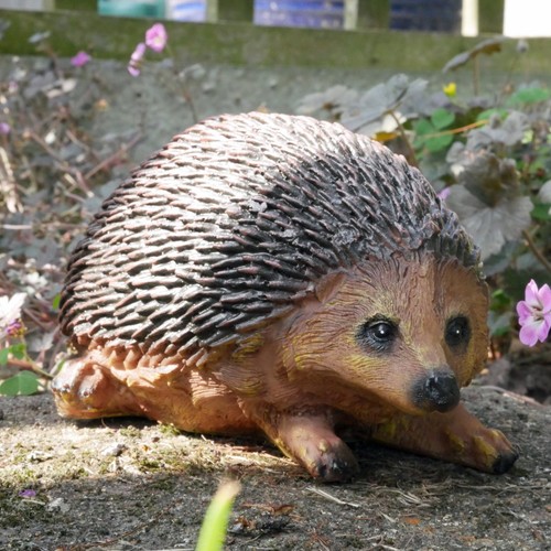 Hedgehog garden ornaments - hedgehog,