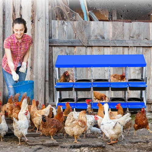 Compartment chicken nest - 10-compartment,
