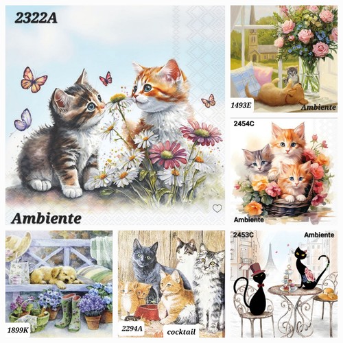 Cats mixed table - x, /mixed