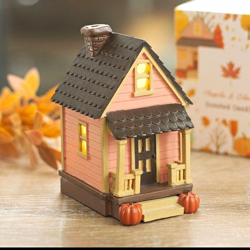 Pink house led light - pink, up
