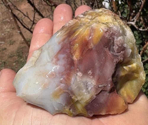 Anasazi coring - anasazi,