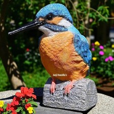 Kingfisher Bird Garden