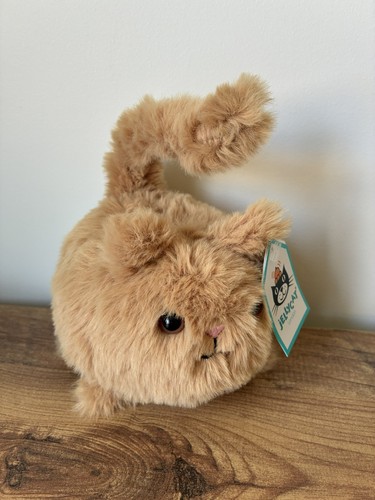Jellycat ginger kitten - i,