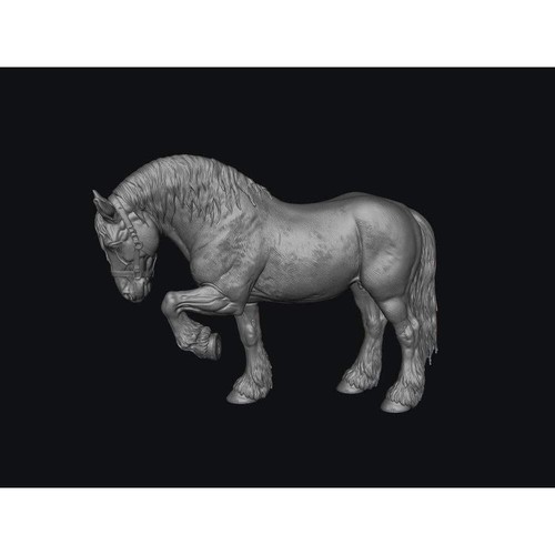 Smff004 shire horse front - horse, d
