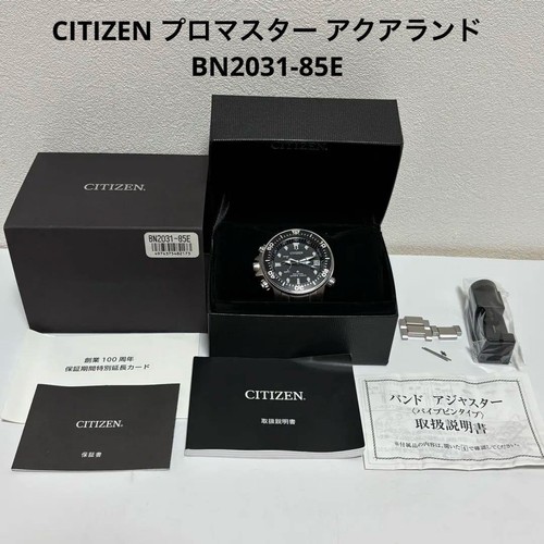 Citizen bn2031 85e promaster - citizen, bn2031-85e