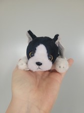 Russ Petooties Boston Terrier