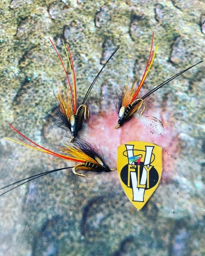 Fly size 12 - size, ultimate
