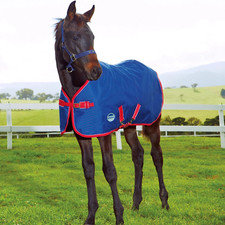 Weatherbeeta Foal Standard Neck Medium