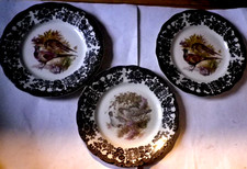 Royal Worcester Palissy Game