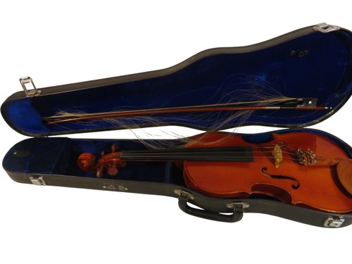 Stentor full size - stentor,