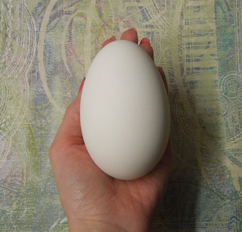 Blown goose egg gift - egg,