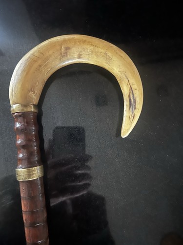 Rams horn handle walking stick - walking,