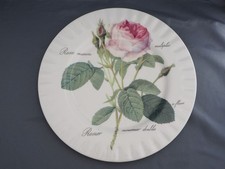 Roy Kirkham Redoute Rose Large