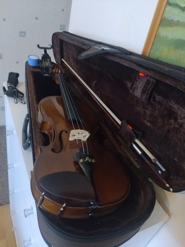Stentor student violin full - stentor,