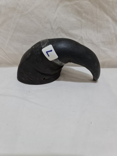 Sheep horn ram crook - sheep,