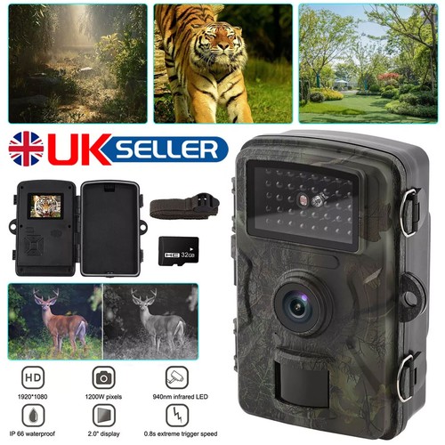 Wildlife trail camera 1080p - wildlife,